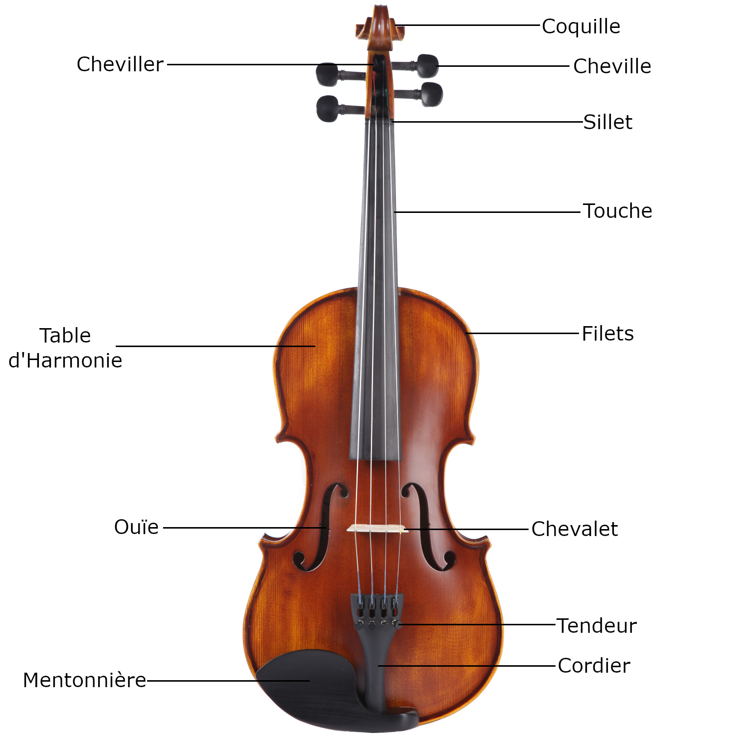 Quels sont les éléments qui composent un violon ?