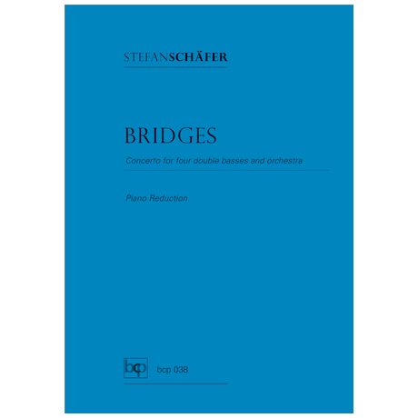 Schäfer, S.: Bridges 