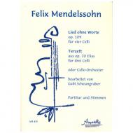 Mendelssohn Bartholdy, F.: Lied ohne Worte und Terzett 