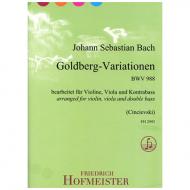 Bach, J. S.: Goldberg – Variationen 