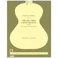 Molino, V.: Grand Trio concertant Op. 10 
