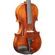 BERDANI violon modèle Strad 
