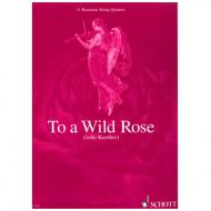 Kember, John: To a wild rose 