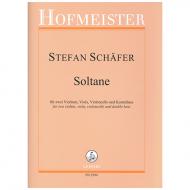 Schäfer, S.: Soltane 