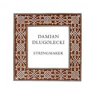 Damian DLUGOLECKI corde violon Sol 