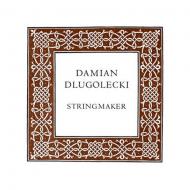 Damian DLUGOLECKI corde violon Sol 