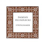 Damian DLUGOLECKI corde violoncelle Re 