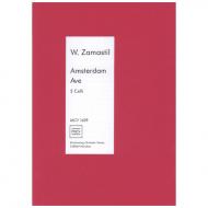 Zamastil, W.: Amsterdam Ave 
