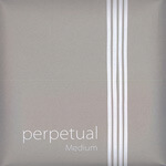 Perpetual Cadenza